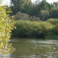 nicko Vorteilspreis 11 Tage Flussreise auf Main, Rhein & Mosel 